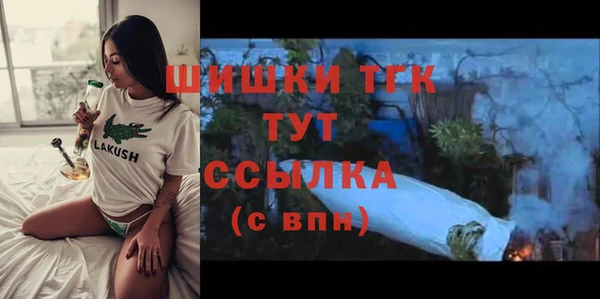 твердый Богородицк