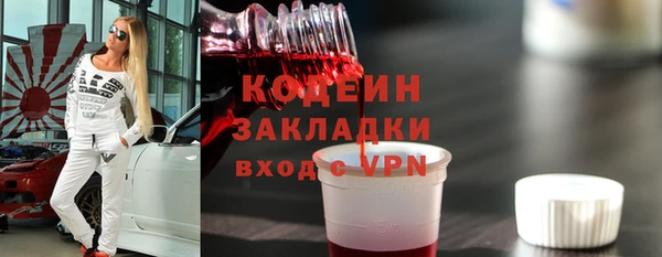 прущие грибы Бронницы