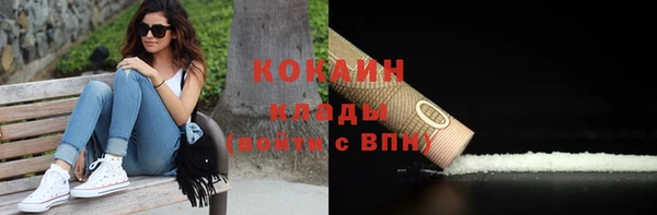 ешки Бородино