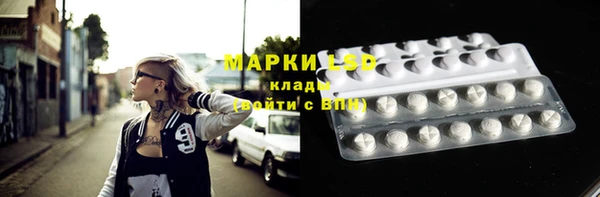 прущие грибы Бронницы