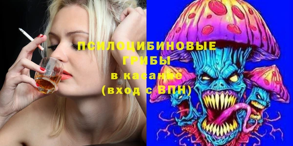 твердый Богородицк