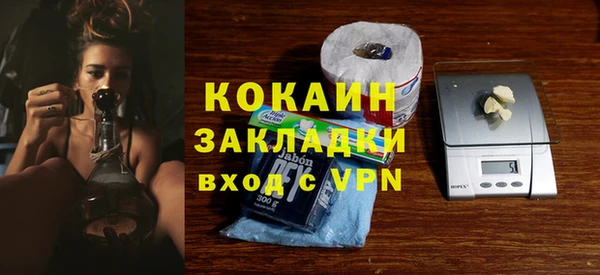 твердый Богородицк