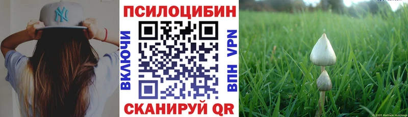 купить наркотик  Любань  Псилоцибиновые грибы мицелий 